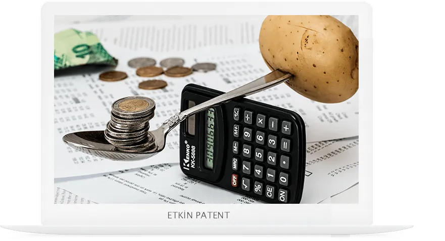 finansal davranışlara dair kombinasyon modeller-adıyaman patent